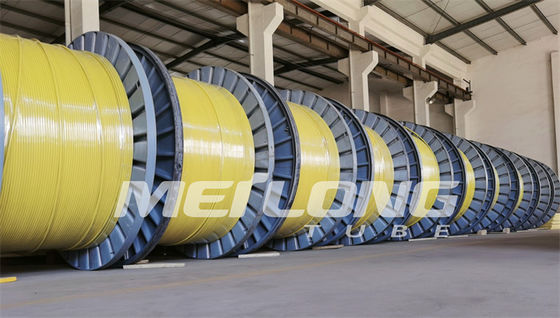UNS S32750 kapselte Super- Duplex-2507 Rilsan Nylon der Steuerleitungs-ein